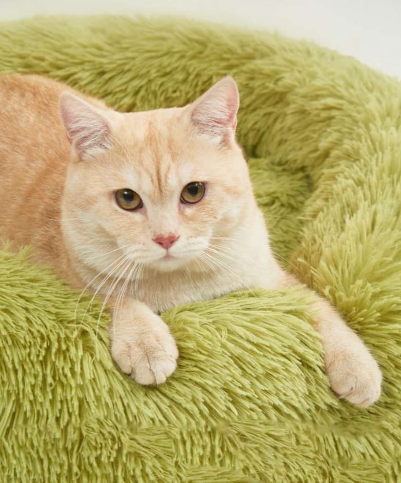 ペットマット 猫用 もふもふ睡眠マット