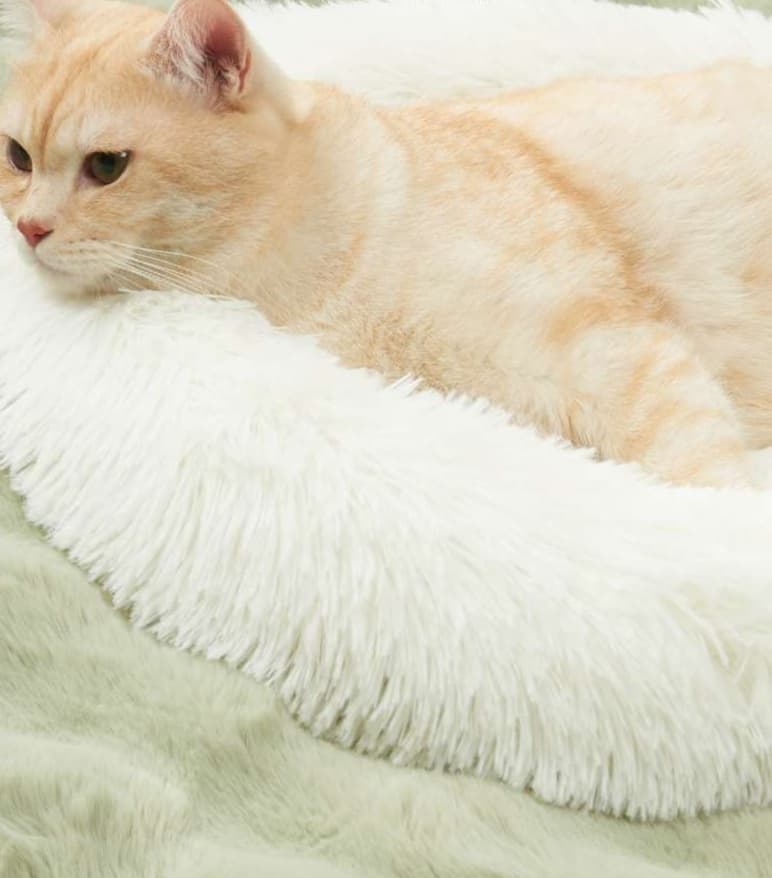 ペットマット 猫用 もふもふ睡眠マット