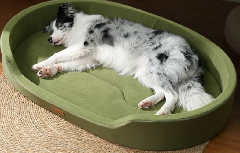 ペットマット 犬用 なごみ空間 ゆったりくつろぎクッション