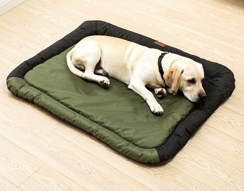 ペットマット 犬用 ふかふか高級仕様