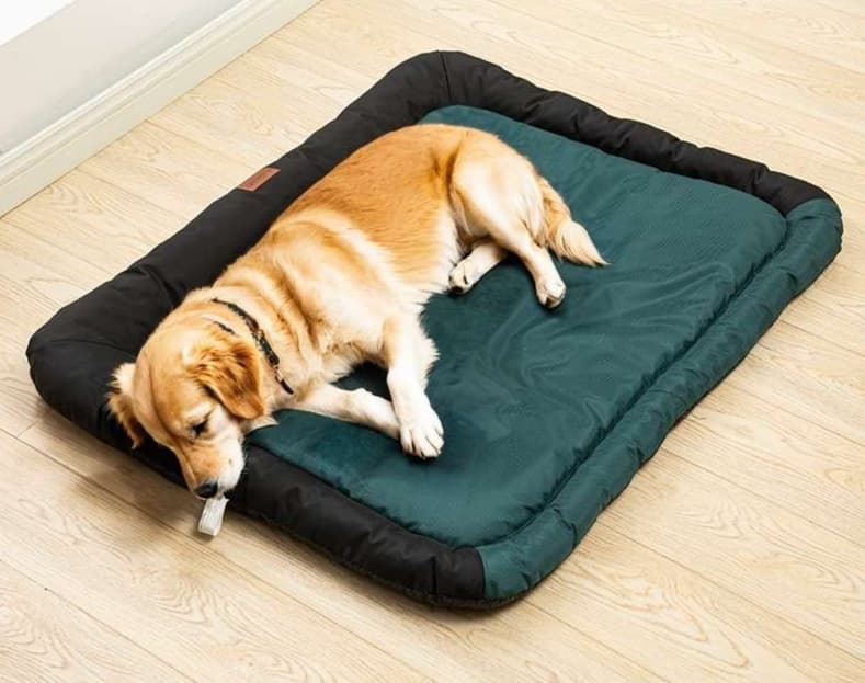 ペットマット 犬用 ふかふか高級仕様