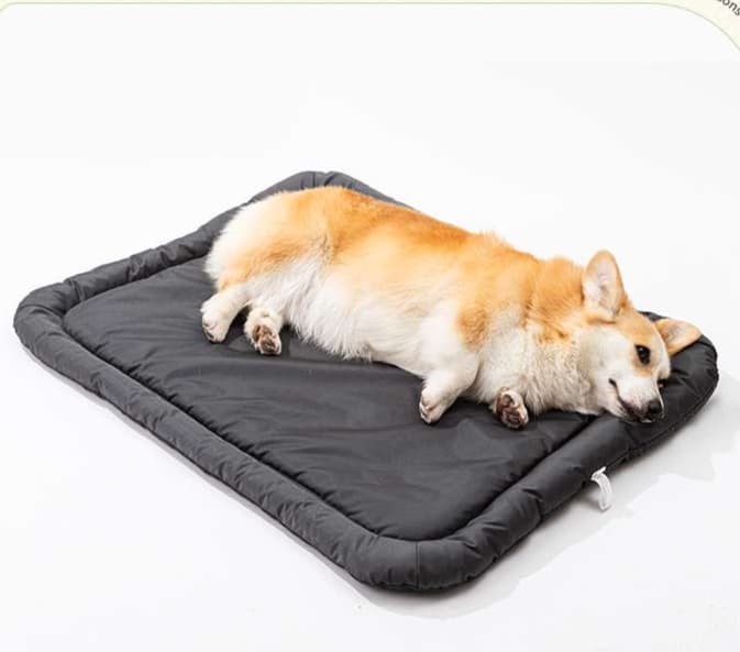 ペットマット 犬用 ふかふか高級仕様