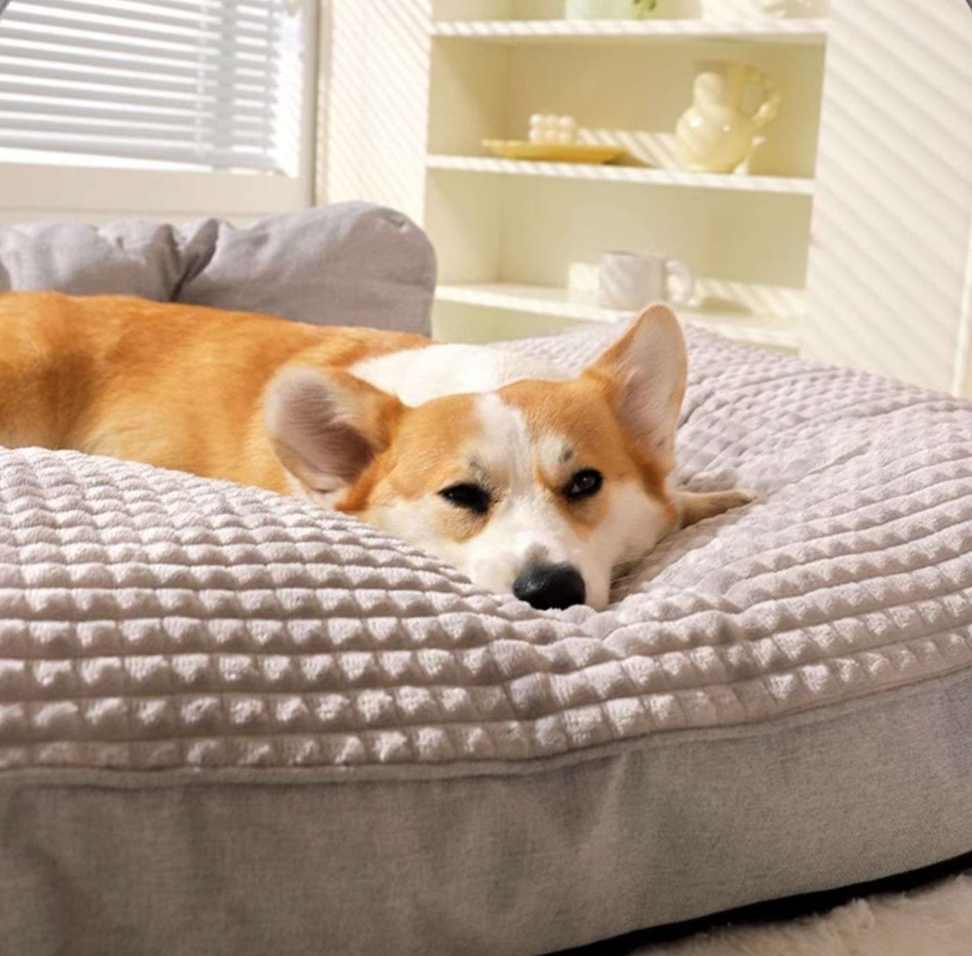 ペットマット 犬用 もこもこ高反発マット