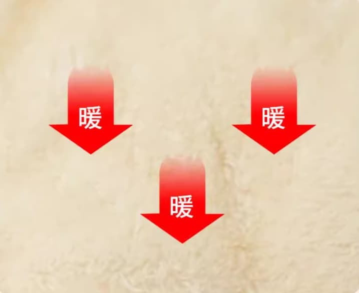 ペットマット 犬用 ふんわり贅沢レース付きベッド