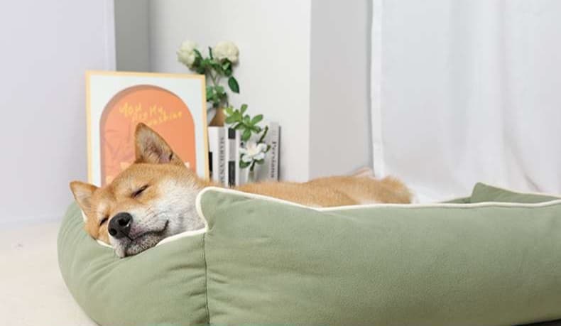 ペットマット 犬用 ふかふかベッド