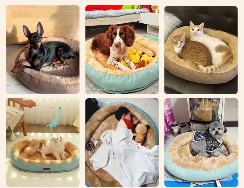ペットマット 犬猫兼用 ふわもこペットクッション