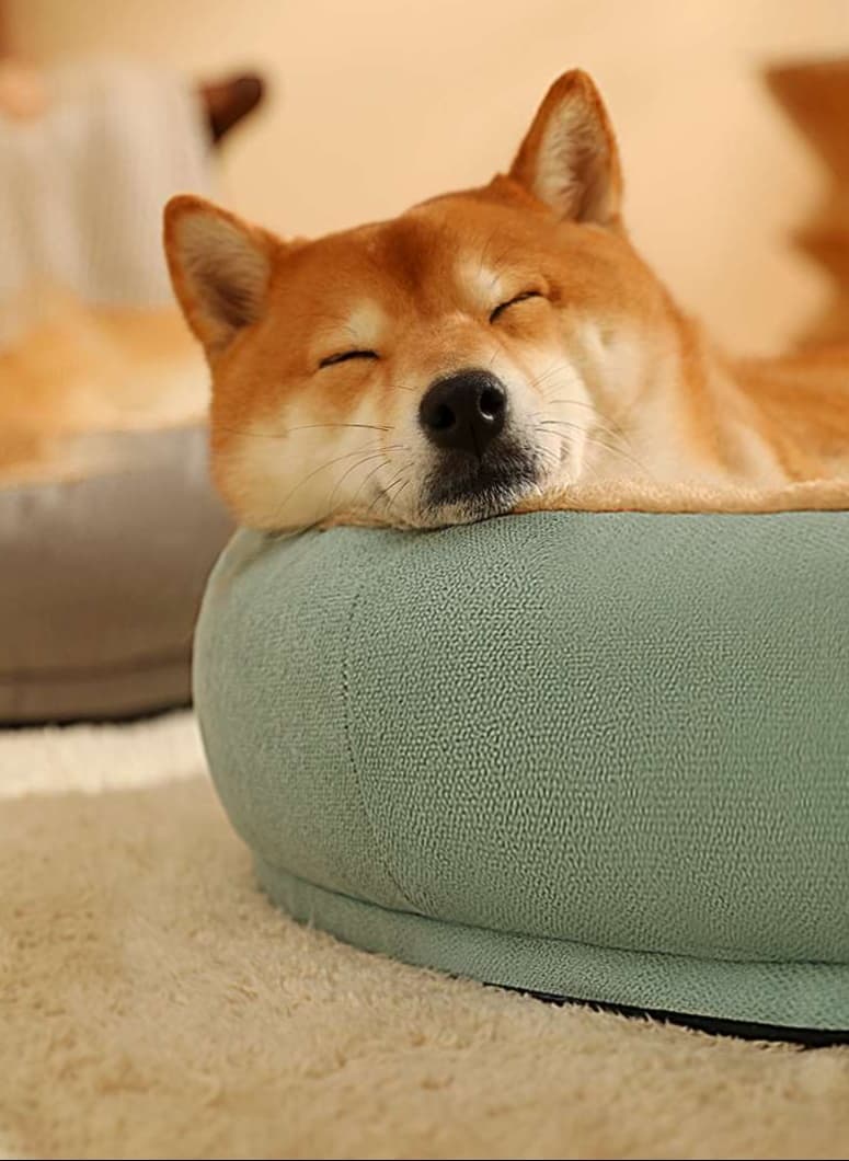 ペットマット 犬猫兼用 ふわもこペットクッション