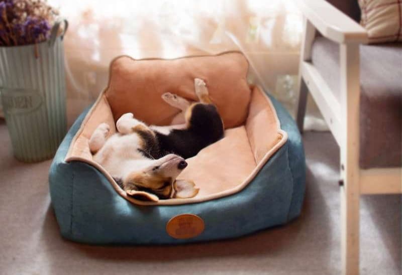ペットマット 犬用 ふわもこ贅沢ベッド