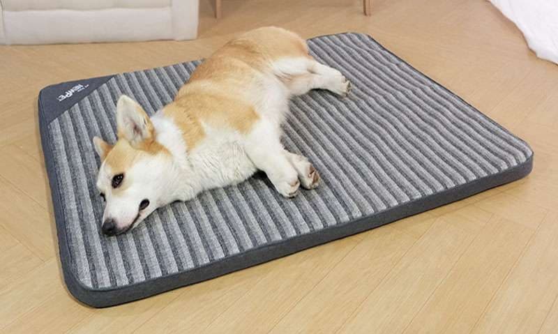 ペットマット 犬猫兼用 オールシーズン快適マット