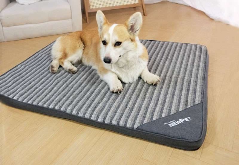ペットマット 犬猫兼用 オールシーズン快適マット