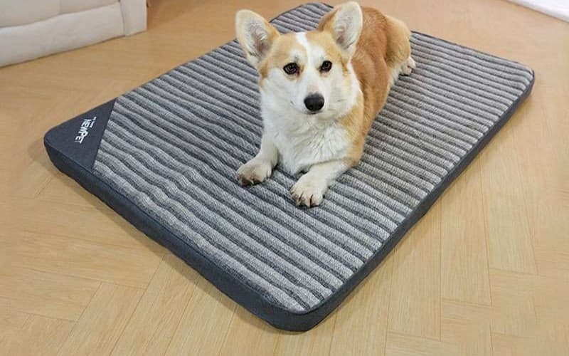 ペットマット 犬猫兼用 オールシーズン快適マット