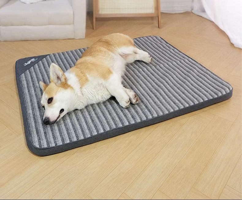 ペットマット 犬猫兼用 オールシーズン快適マット