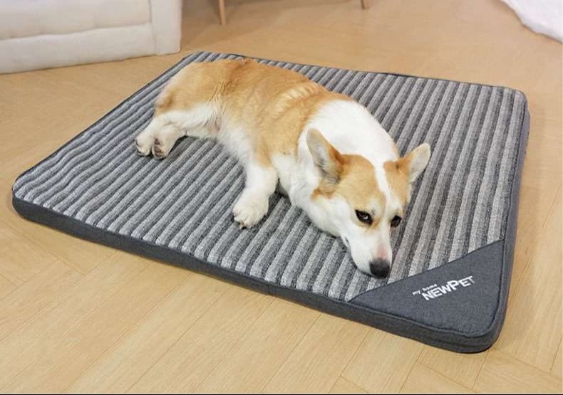 ペットマット 犬猫兼用 オールシーズン快適マット