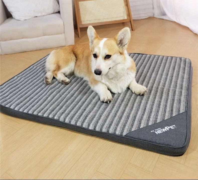 ペットマット 犬猫兼用 オールシーズン快適マット