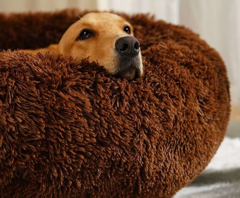 ペットマット 犬用 もこもこ円形ベッド