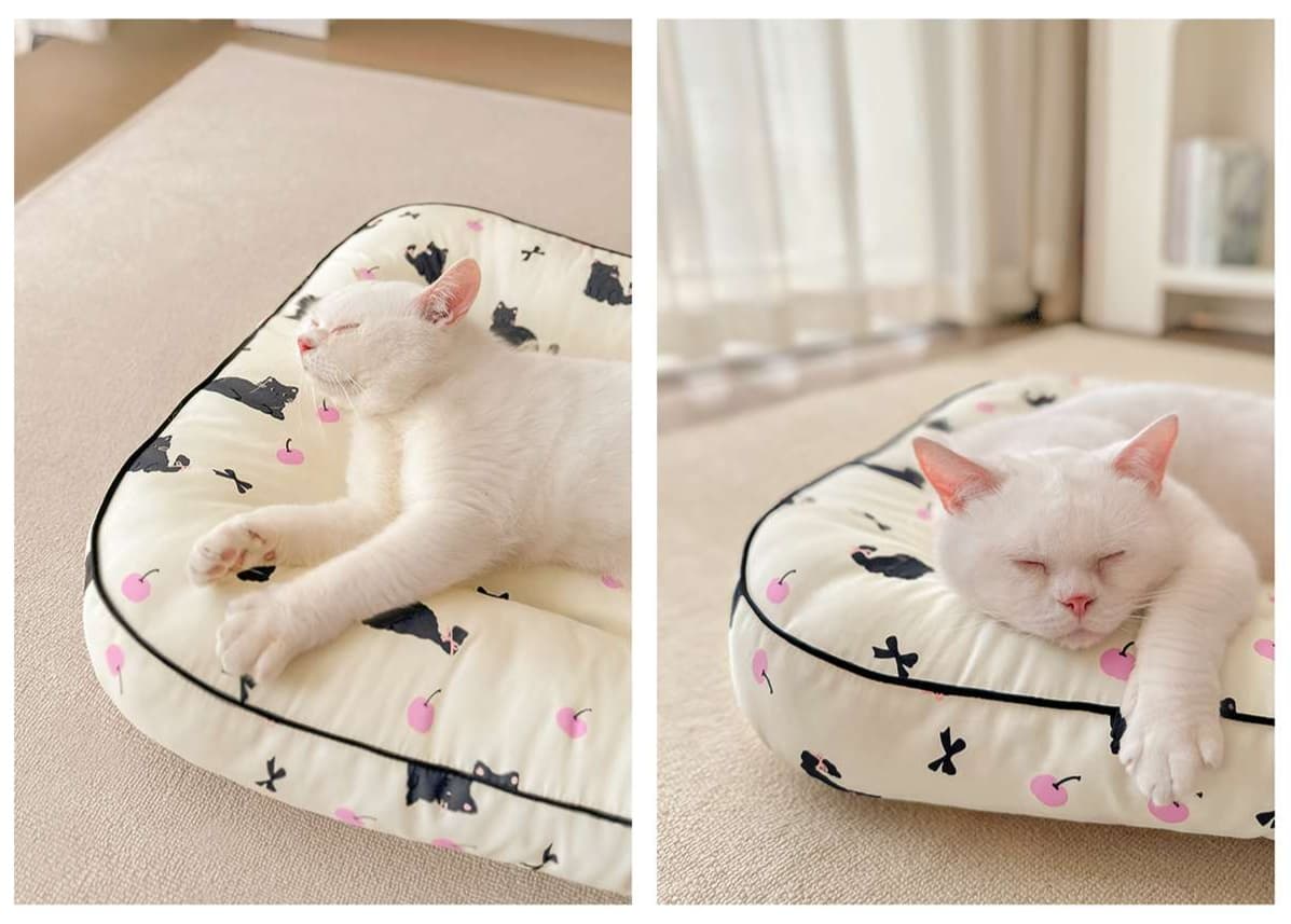 ペットマット 犬用 もこもこ四季マット