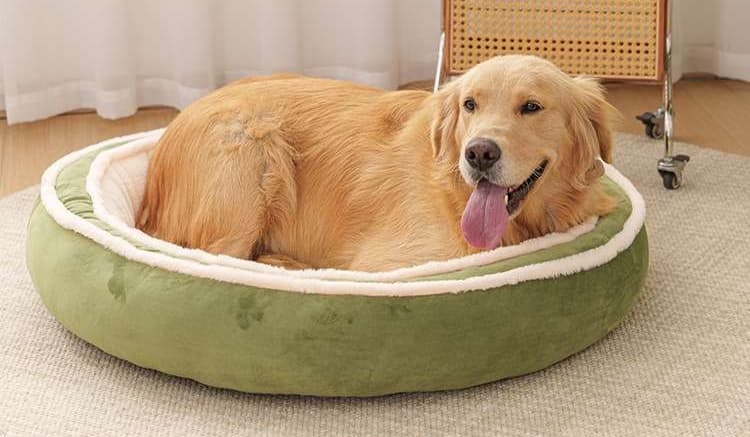 ペットマット 犬用 ふかふか包み込む夢ごこちベッド