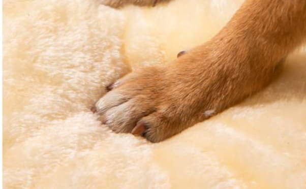 ペットマット 犬用 ふわもこ星空ハウスマット