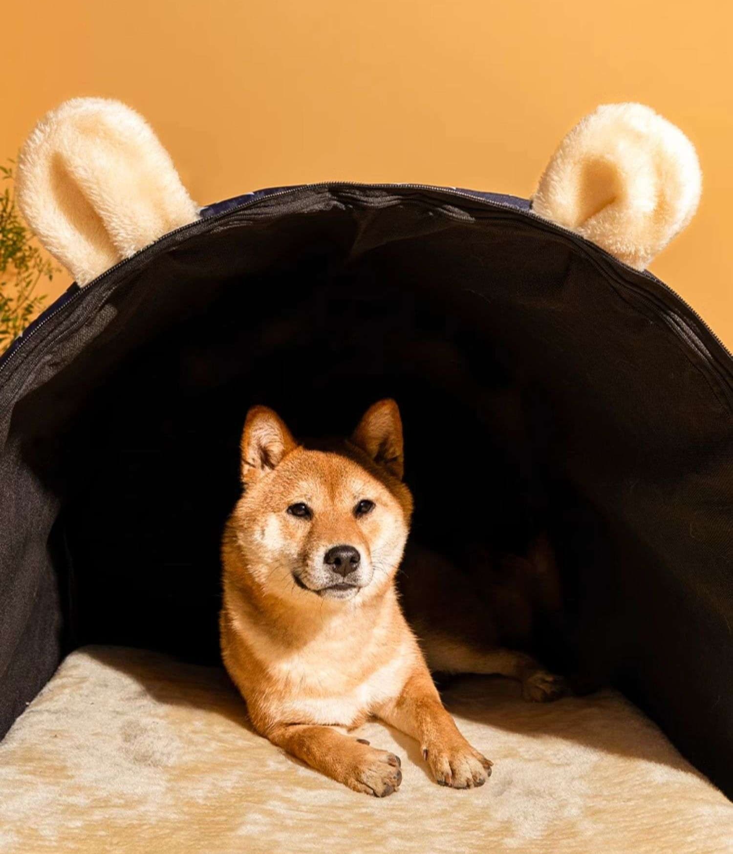 ペットマット 犬用 ふわもこ星空ハウスマット