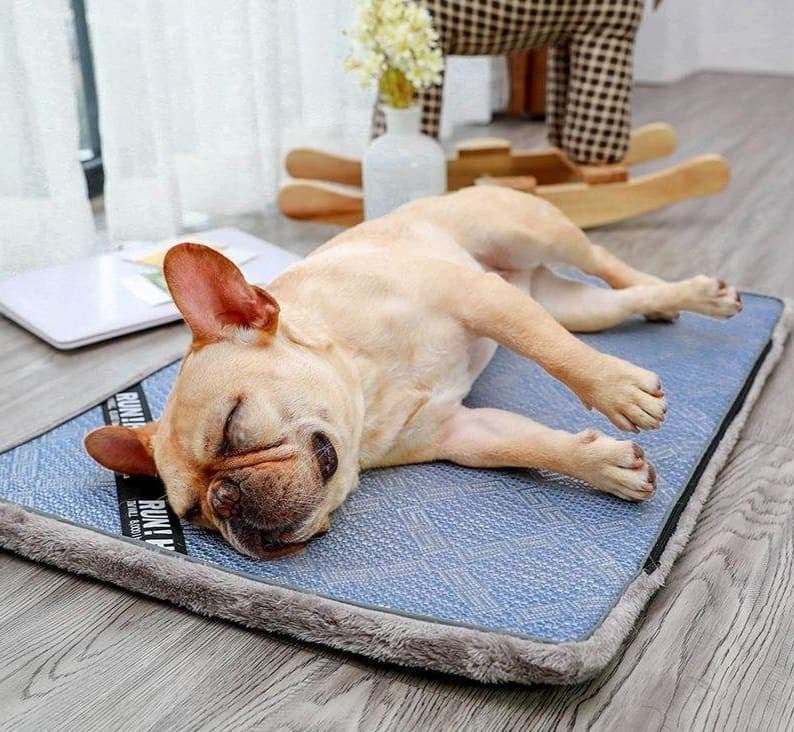 ペットマット 犬用 ふかふか両面洗えるリラックスマット