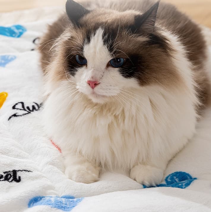 ペットマット 猫用 もこもこ癒しのマット