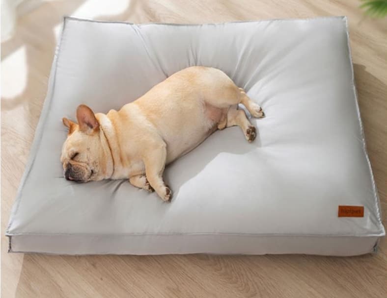 ペットマット 犬用 防水ふかふか極厚マット