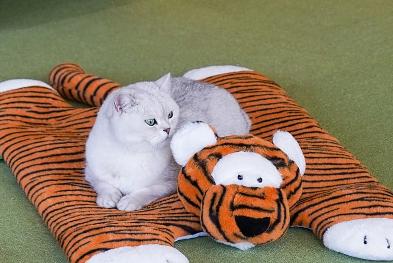 ペットマット 犬猫兼用 おあそびタイガーマット
