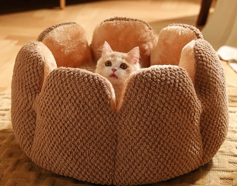 ペットマット 犬猫兼用 もこもこ花びらペットクッション