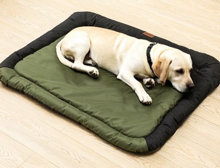 ペットマット 犬用 ふかふか快適マット