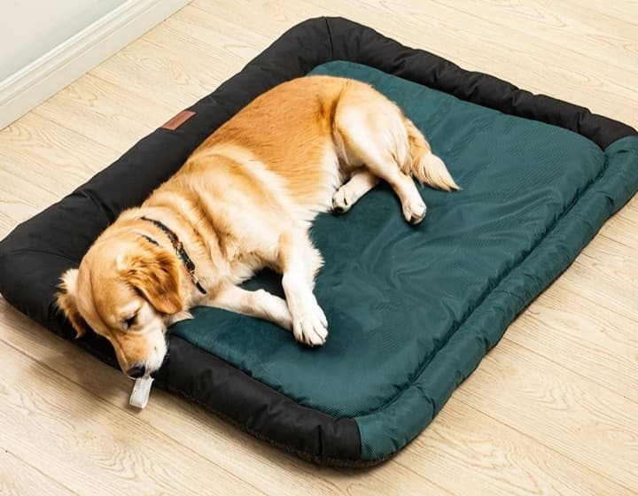 ペットマット 犬用 ふかふか快適マット