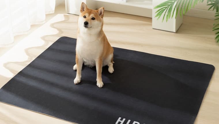 ペットマット 犬用 両面滑り止め付き快適マット