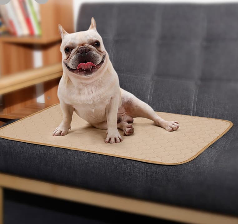 ペットマット 犬用 快適消臭吸水マット