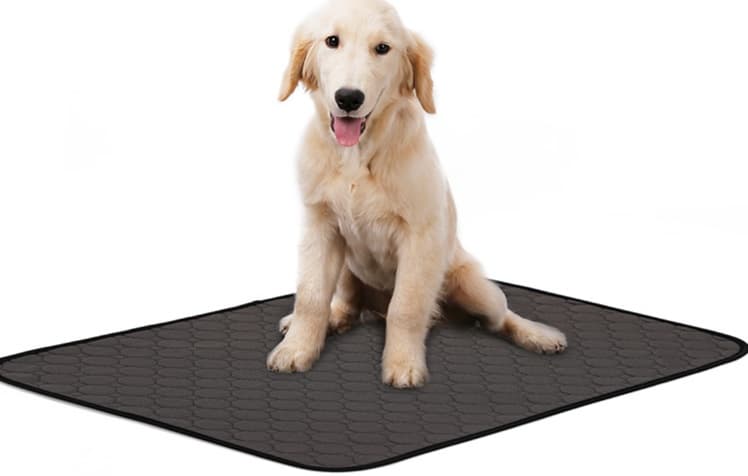ペットマット 犬用 快適消臭吸水マット