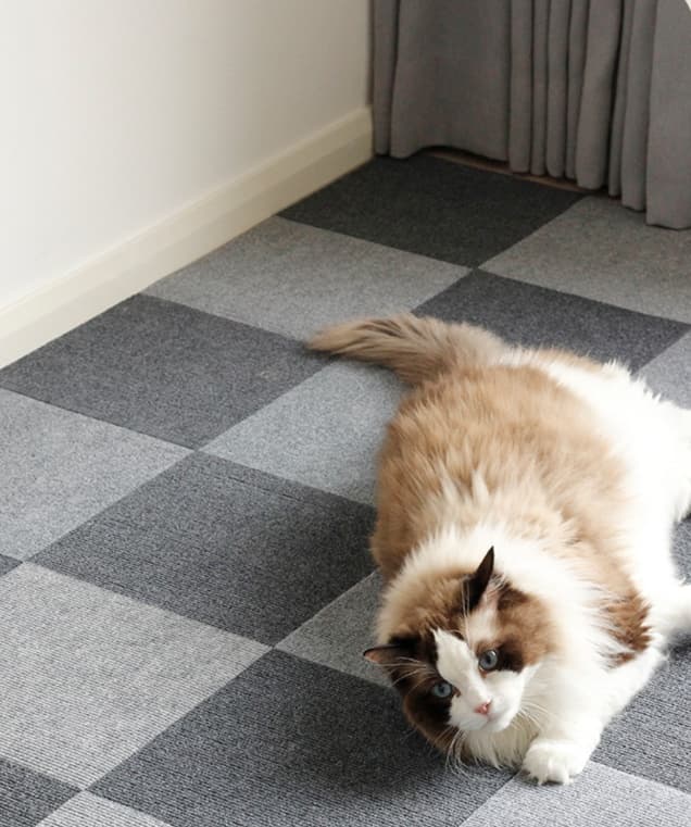 ペットマット 猫用 ふかふか快適ラグマット
