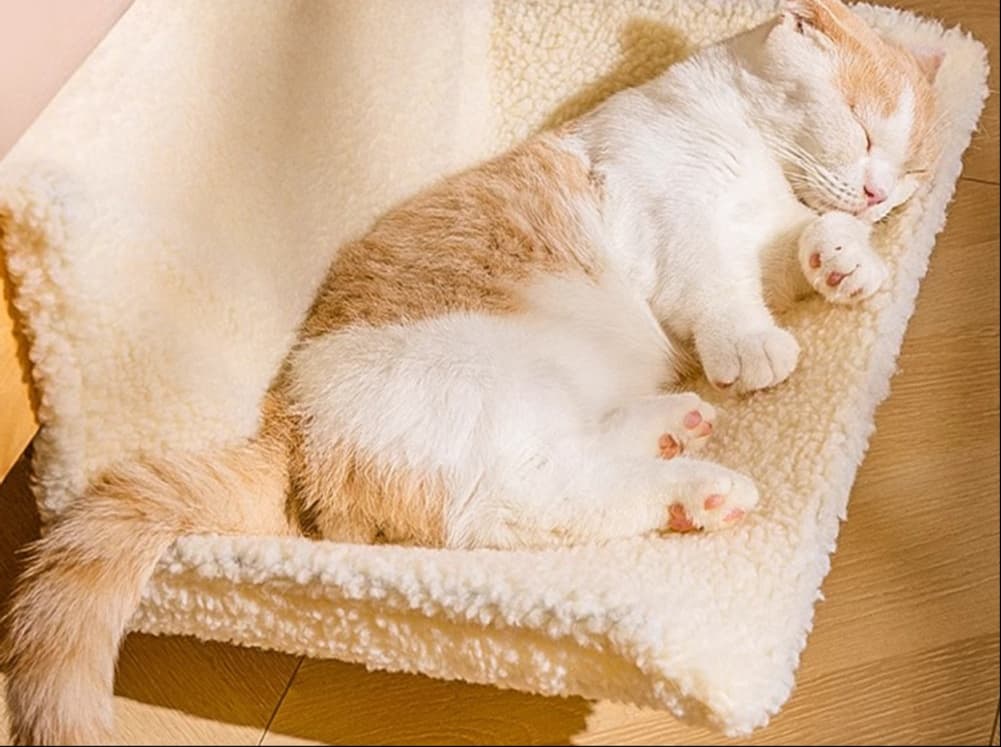 ペットマット 猫用 ふかふか寝心地ラグマット