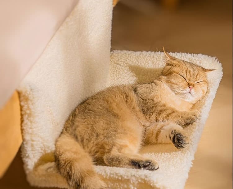 ペットマット 猫用 ふかふか寝心地ラグマット