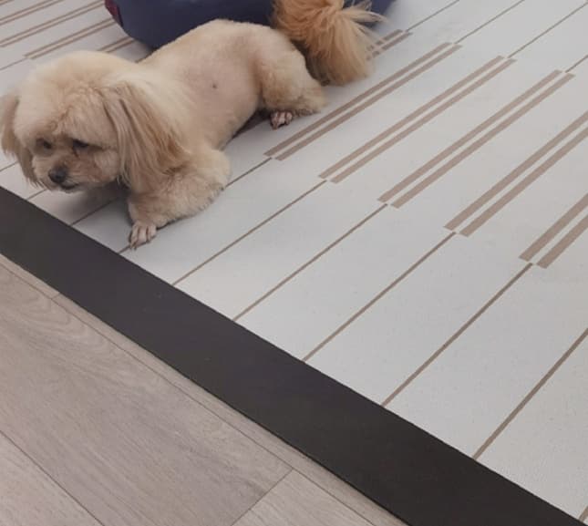 ペットマット 犬用 防水マット ラグマット&サークルマット