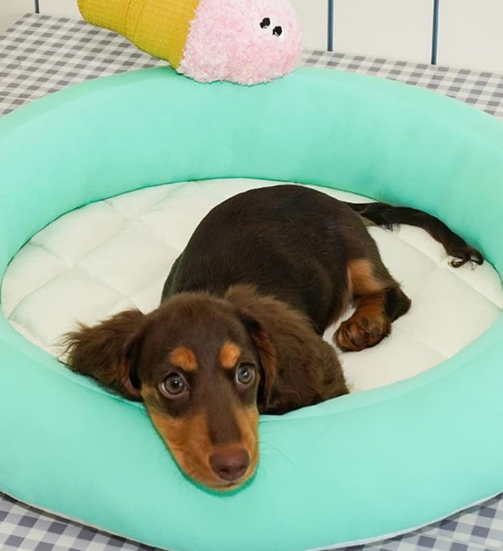 ペットマット 犬用 ひんやりドーナツベッド