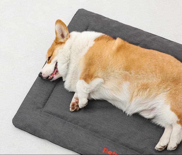 ペットマット 犬用 オールシーズン快適マット