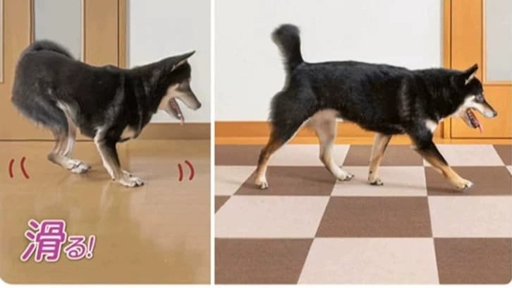 ペットマット 犬猫兼用 防水・消臭マット 四季活躍