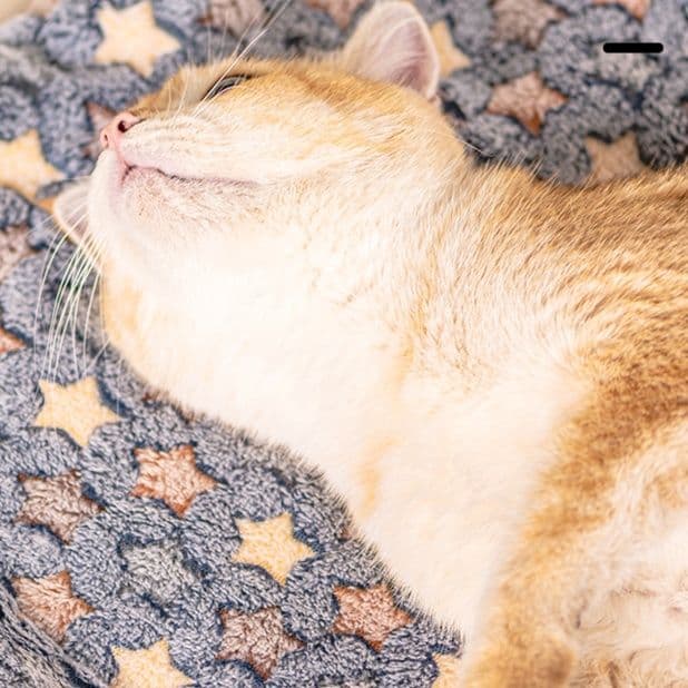 ペットマット 猫用 星空おやすみラグマット