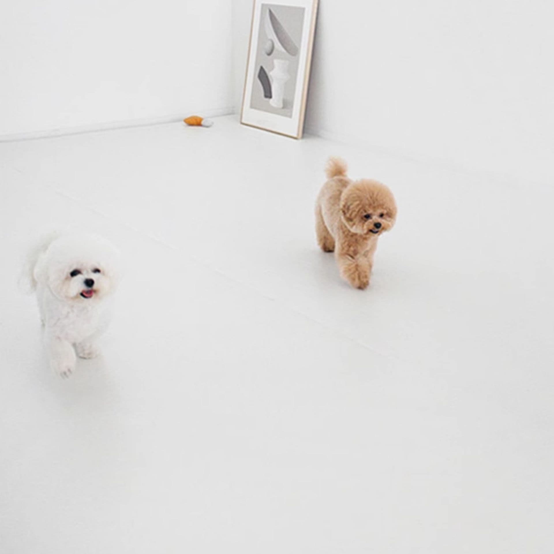 ペットマット 犬用 ふわもこ安心ペットフロアマット