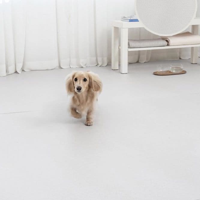 ペットマット 犬用 ふわもこ安心ペットフロアマット