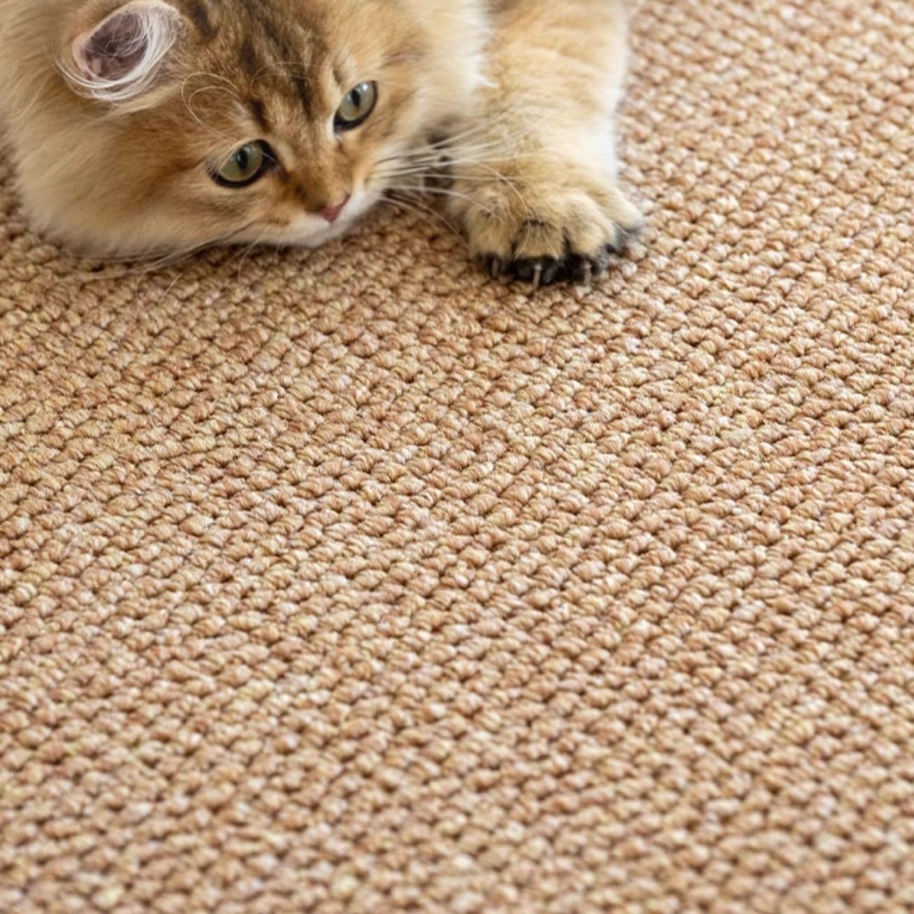 ペットマット 天然素材の猫リラックスマット
