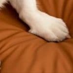 ペットマット 愛犬のためのくつろぎソファベッド
