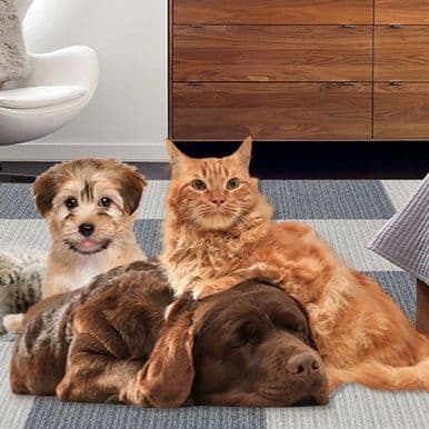 ペットマット 犬猫兼用　なごみタイル 快適ライフマット