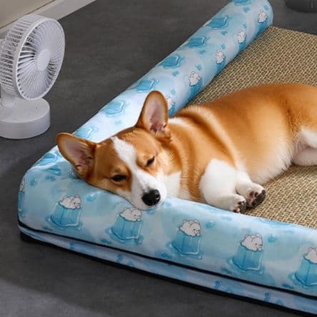 ペットマット 犬用 夏涼み和みベッド