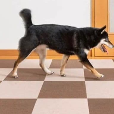 ペットマット 犬猫兼用 市松模様防水防滑多機能マット