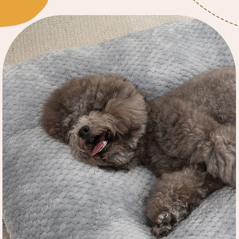 ペットマット 犬用 ふわふわ包み込む大判キルティングマット