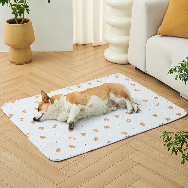 ペットマット 犬猫兼用 くまさんといっしょラグマット